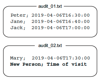 Audit file example